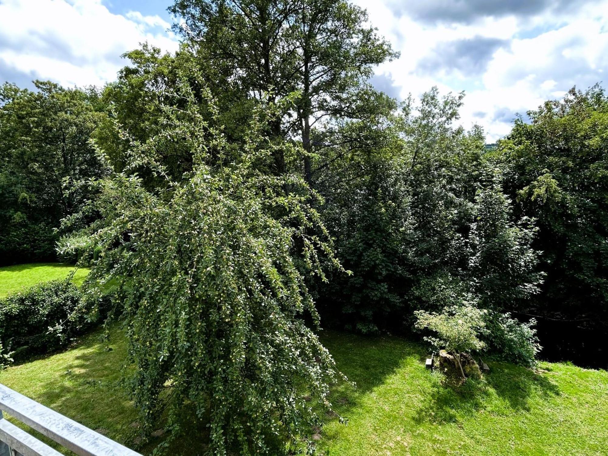 Ferienwohnung Sauerland An Der Ruhr Olsberg Exteriör bild