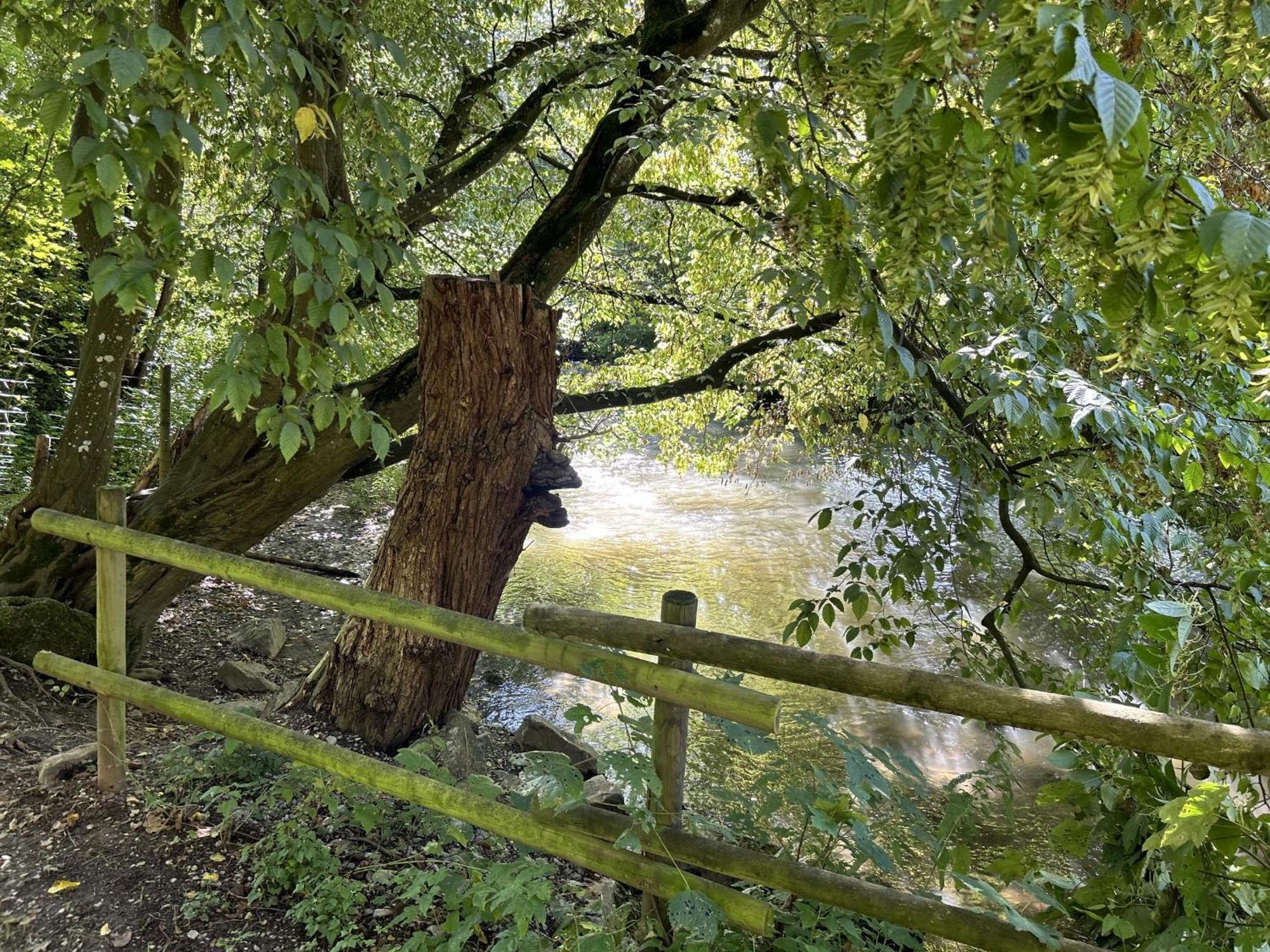 Ferienwohnung Sauerland An Der Ruhr Olsberg Exteriör bild
