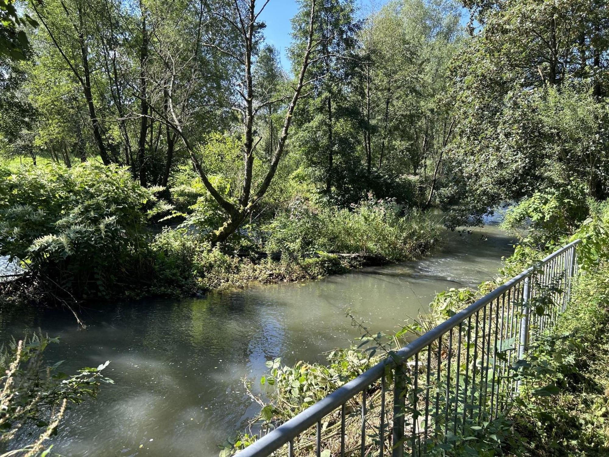 Ferienwohnung Sauerland An Der Ruhr Olsberg Exteriör bild